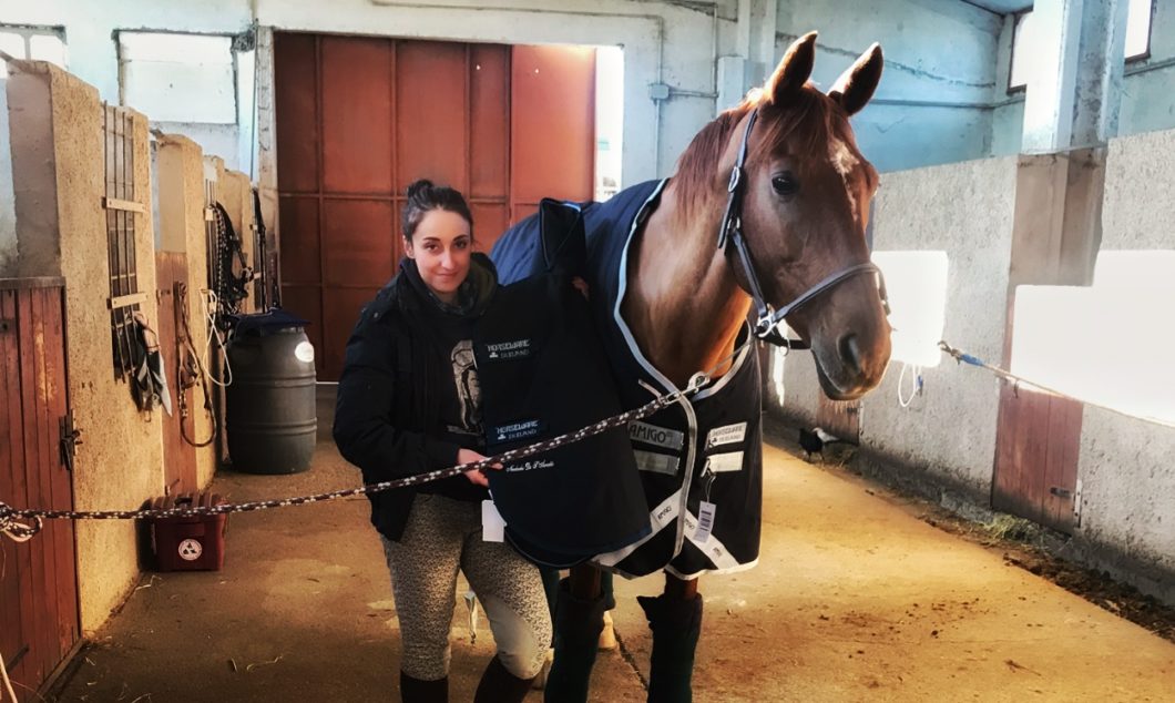 Brunette rider equitazione - cavalla Neulache con coperta Amigo