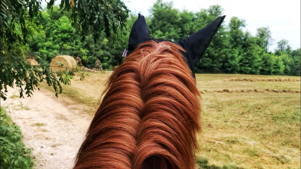 Passeggiata a cavallo