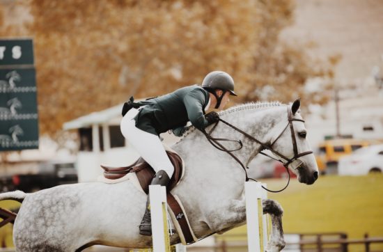 salto ostacoli con cavallo bianco