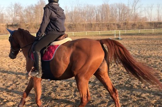 brunette rider equitazione - a cavallo con speroni