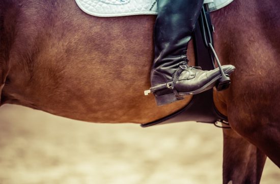 brunette rider a cavallo - equitazione con speroni