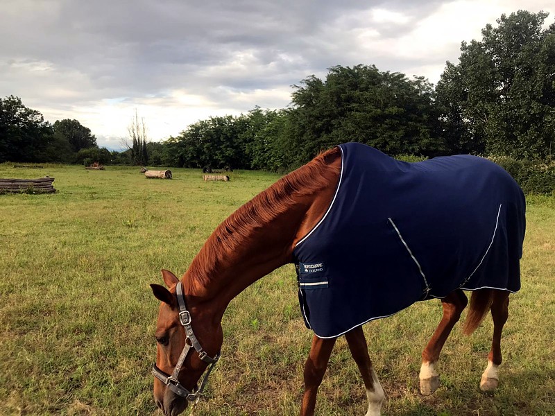 Coperta per cavallo in pile con cinghie sottopancia