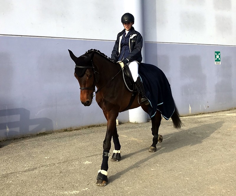 groom a cavallo