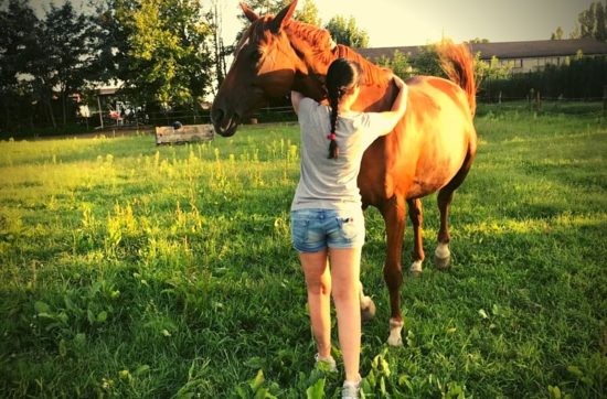 ragazza abbraccia il proprio cavallo